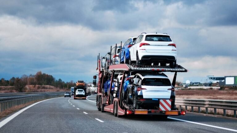 Car carrier truck loaded with vehicles on the highway